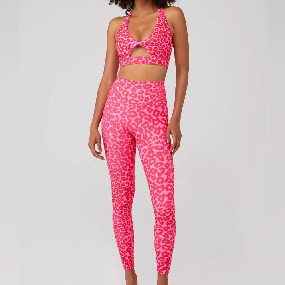 Beach Riot Pink Leopard Legging and Bra Set